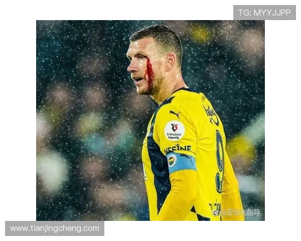 费内巴切有意引进格雷茨卡 拜仁冬窗不太可能放人离队